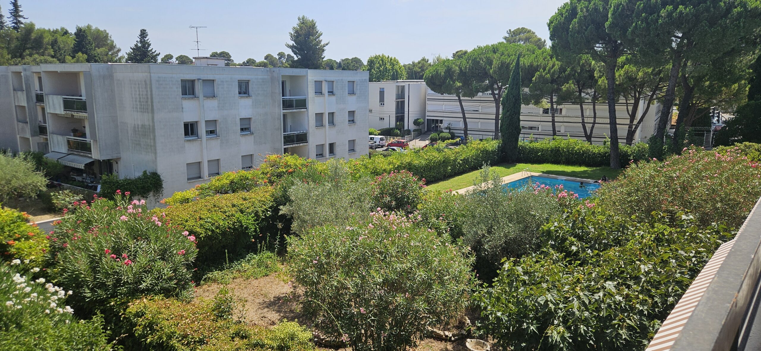 Fernandez Immobilier Location Montpellier 20260722 150731